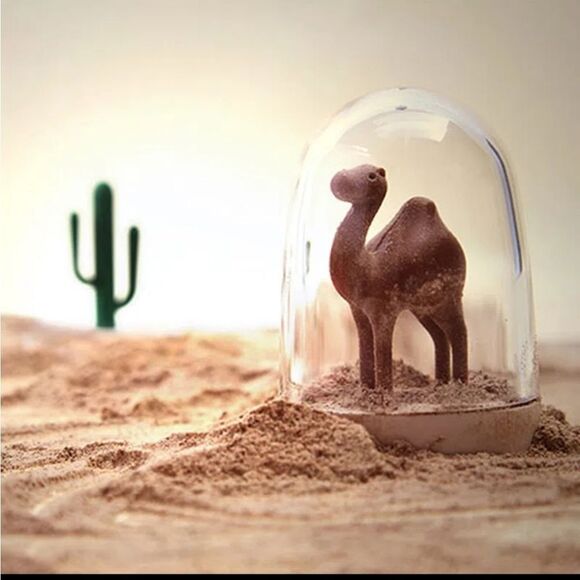 Animal Shape Spice Shaker Jars - Picture 2 of 5